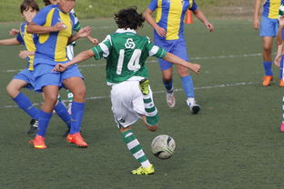 mk体育现在-中国足球赛事直播流量与关注度指数追踪，中国足球关注度数据