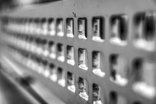 mk体育app-高校运动训练科学管理模式创新实践，运动训练科研管理工作要求