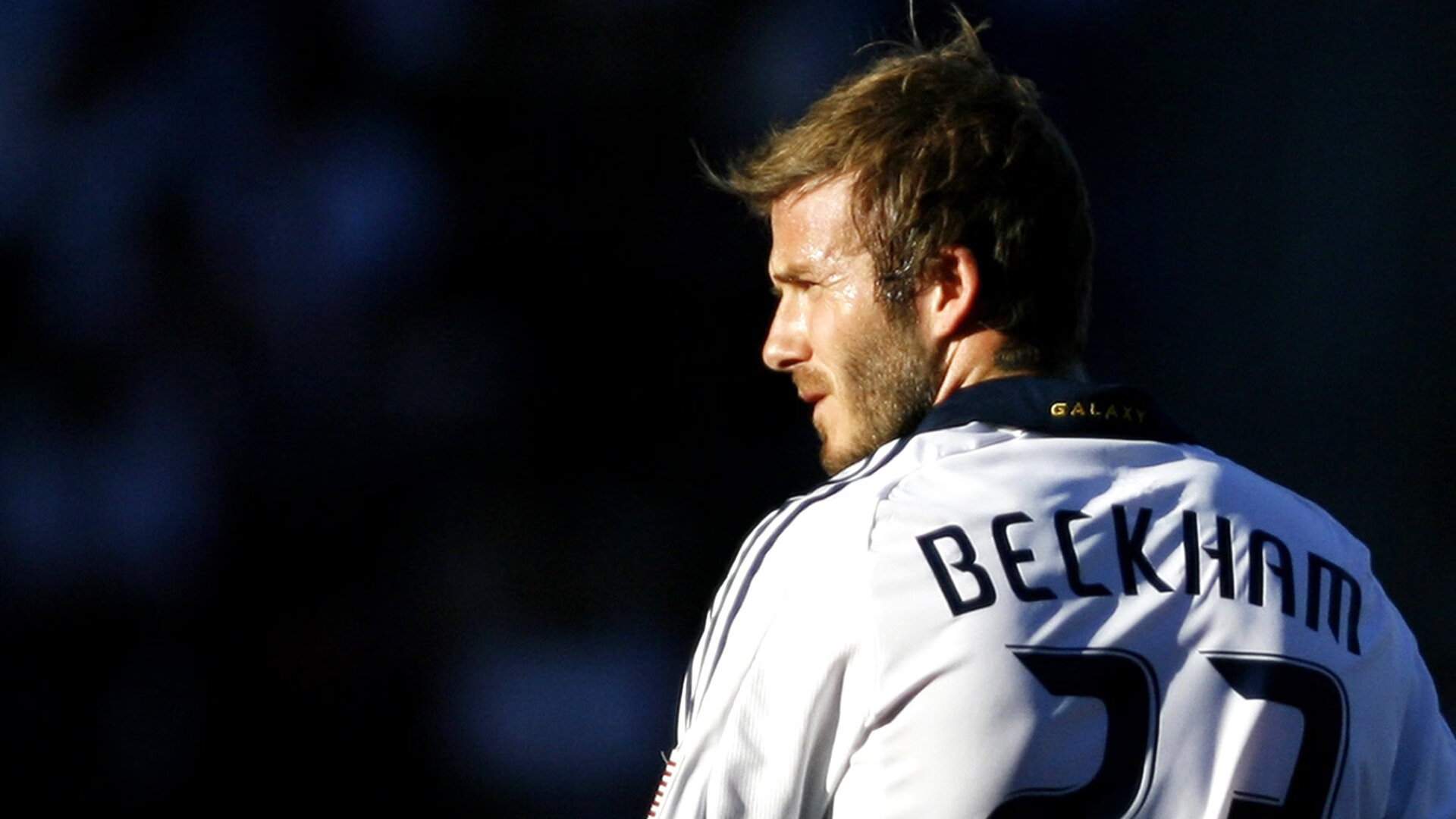 mk sport-体育新闻中心上线体育行业趋势智能监测平台，专业的体育新闻网站